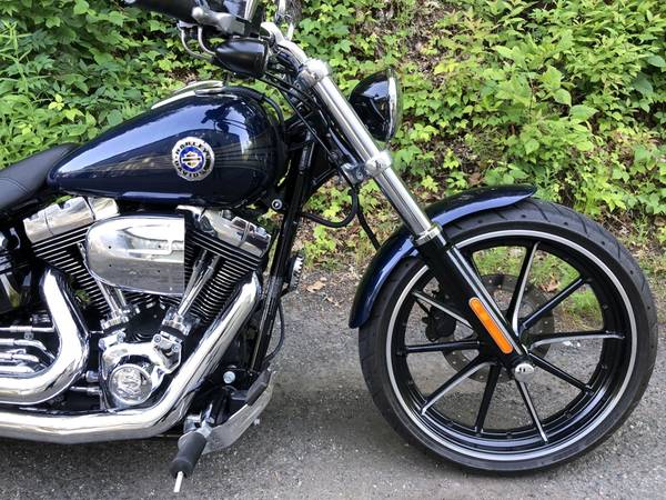2013 Harley-Davidson, modrá, dovoz USA — foto 2 z 11