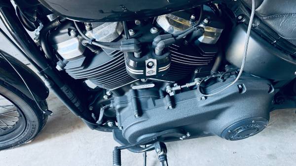 2020 Harley-Davidson, dovoz USA — foto 3 z 9