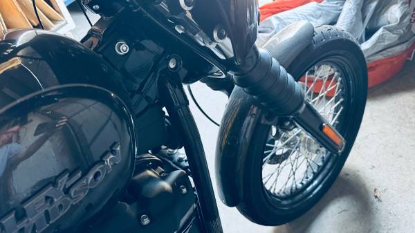 2020 Harley-Davidson, dovoz USA — foto 9 z 9
