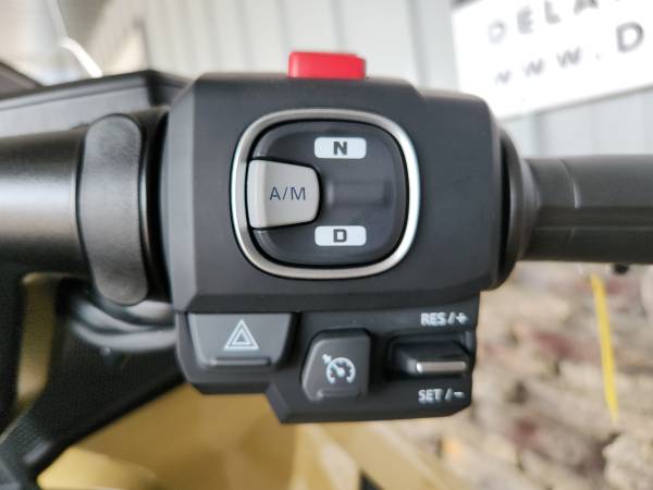 2025 Harley-Davidson, zlatá, dovoz USA — foto 10 z 12