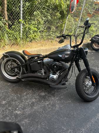 2013 Harley-Davidson, dovoz USA — foto 2 z 4