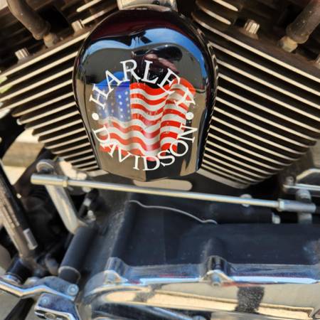 2012 Harley-Davidson, dovoz USA — foto 7 z 12
