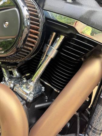 2018 Harley-Davidson, dovoz USA — foto 10 z 12