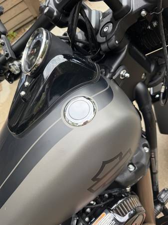 2018 Harley-Davidson, dovoz USA — foto 7 z 12