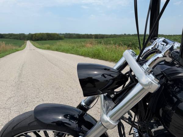2014 Harley-Davidson, dovoz USA — foto 6 z 12