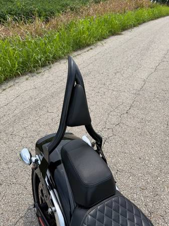 2014 Harley-Davidson, dovoz USA — foto 8 z 12