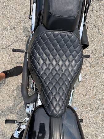 2014 Harley-Davidson, dovoz USA — foto 9 z 12
