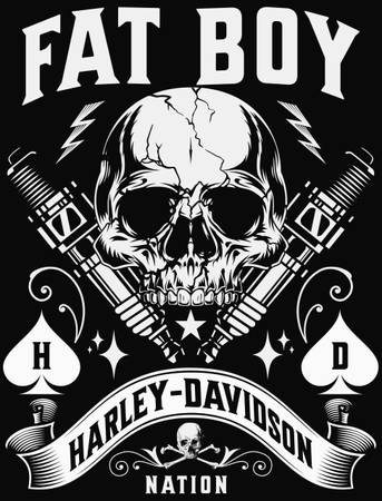 2001 Harley-Davidson, dovoz USA — foto 2 z 7