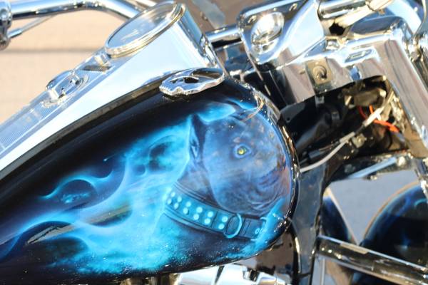 2004 Harley-Davidson, dovoz USA — foto 9 z 12