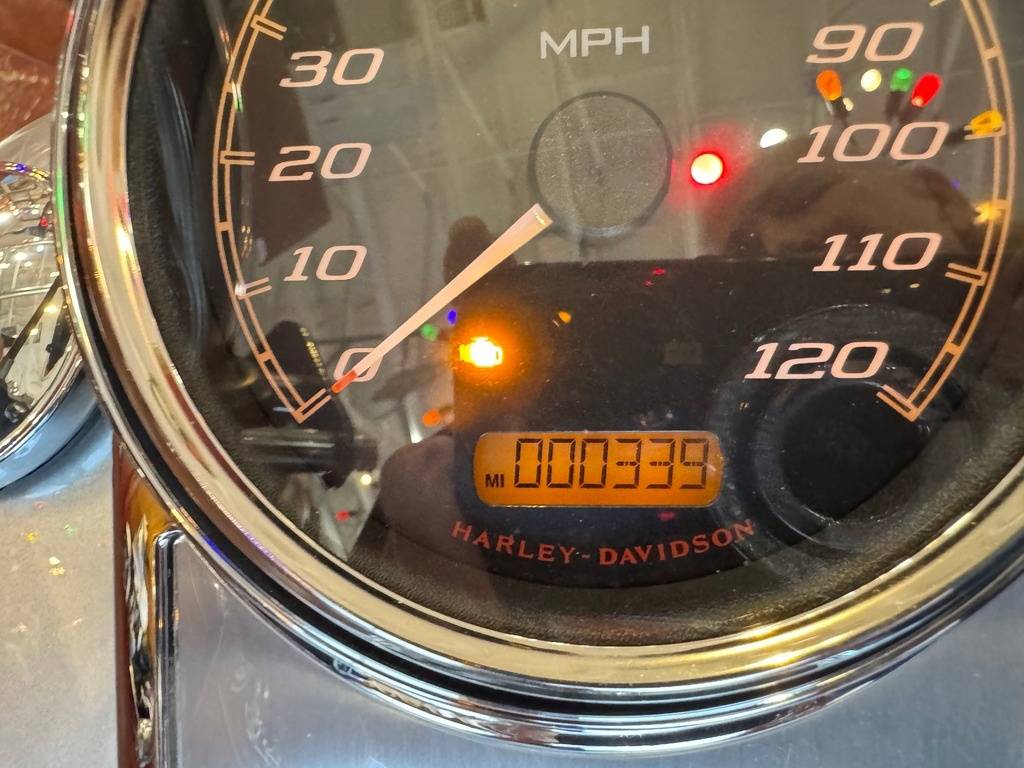 2015 Harley-Davidson, dovoz USA — foto 11 z 12
