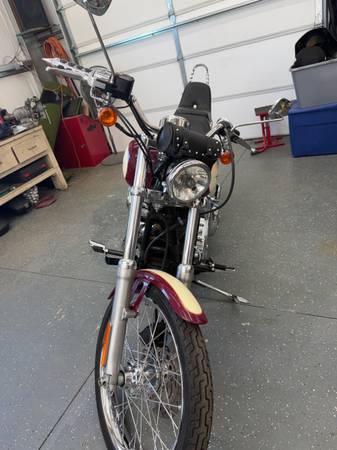 Harley-Davidson, dovoz USA — foto 7 z 12