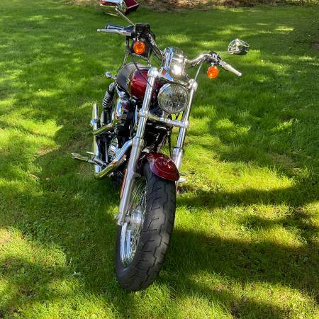 Harley-Davidson, dovoz USA — foto 9 z 9