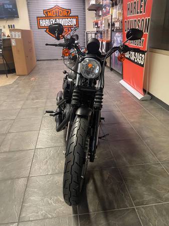 Harley-Davidson, dovoz USA — foto 9 z 12