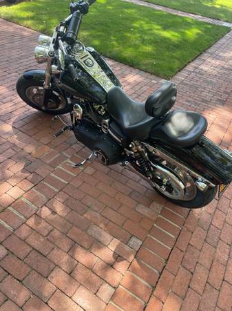 2008 Harley-Davidson, dovoz USA — foto 5 z 7