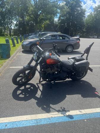 Harley-Davidson, bílá, dovoz USA — foto 2 z 5