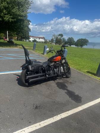 Harley-Davidson, bílá, dovoz USA — foto 4 z 5