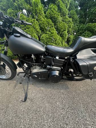 Harley-Davidson, dovoz USA — foto 11 z 12