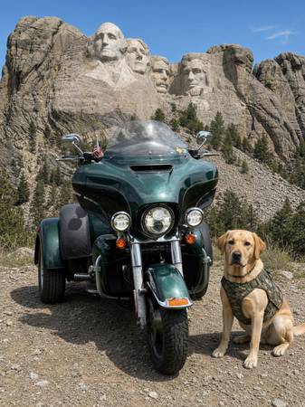 2016 Harley-Davidson, dovoz USA — foto 10 z 11