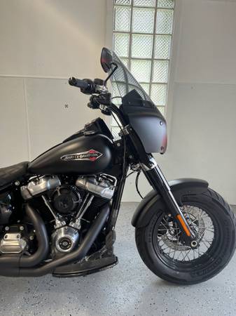 2019 Harley-Davidson, dovoz USA — foto 2 z 11