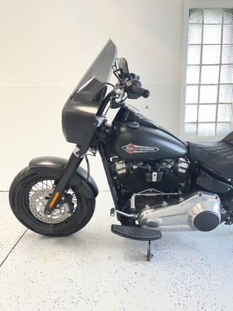 2019 Harley-Davidson, dovoz USA — foto 7 z 11