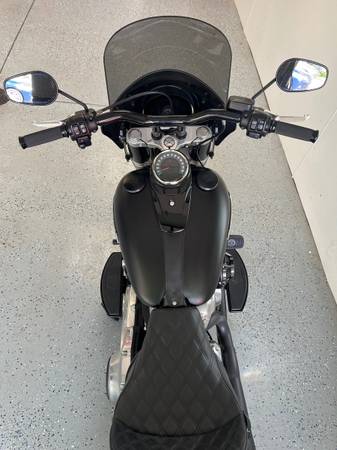2019 Harley-Davidson, dovoz USA — foto 9 z 11