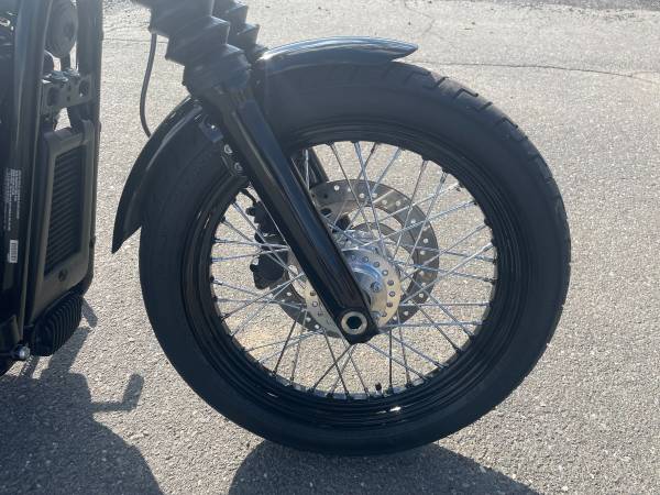 2020 Harley-Davidson, dovoz USA — foto 7 z 12