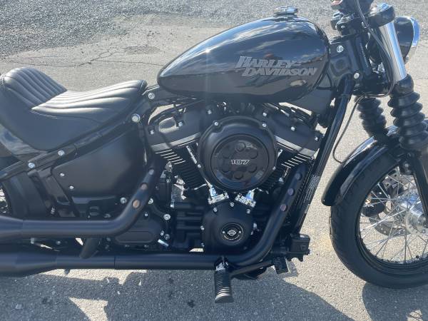 2020 Harley-Davidson, dovoz USA — foto 8 z 12