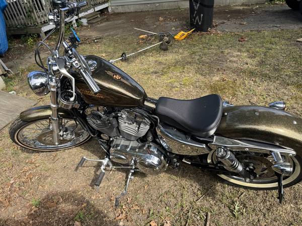 2013 Harley-Davidson, dovoz USA — foto 3 z 5