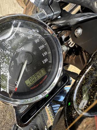 2013 Harley-Davidson, dovoz USA — foto 5 z 5