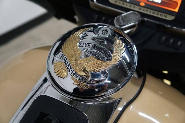 2014 Harley-Davidson, dovoz USA — foto 12 z 12