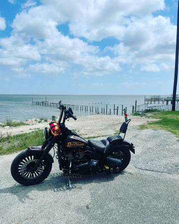 2016 Harley-Davidson, dovoz USA — foto 4 z 12