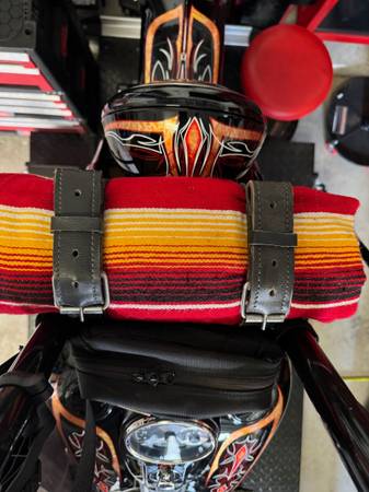 2016 Harley-Davidson, dovoz USA — foto 7 z 12