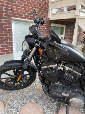 2016 Harley-Davidson, dovoz USA — foto 2 z 11