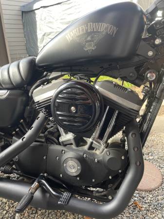 2016 Harley-Davidson, dovoz USA — foto 7 z 11