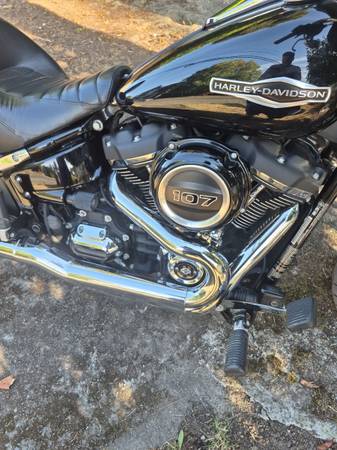 2018 Harley-Davidson, dovoz USA — foto 7 z 10