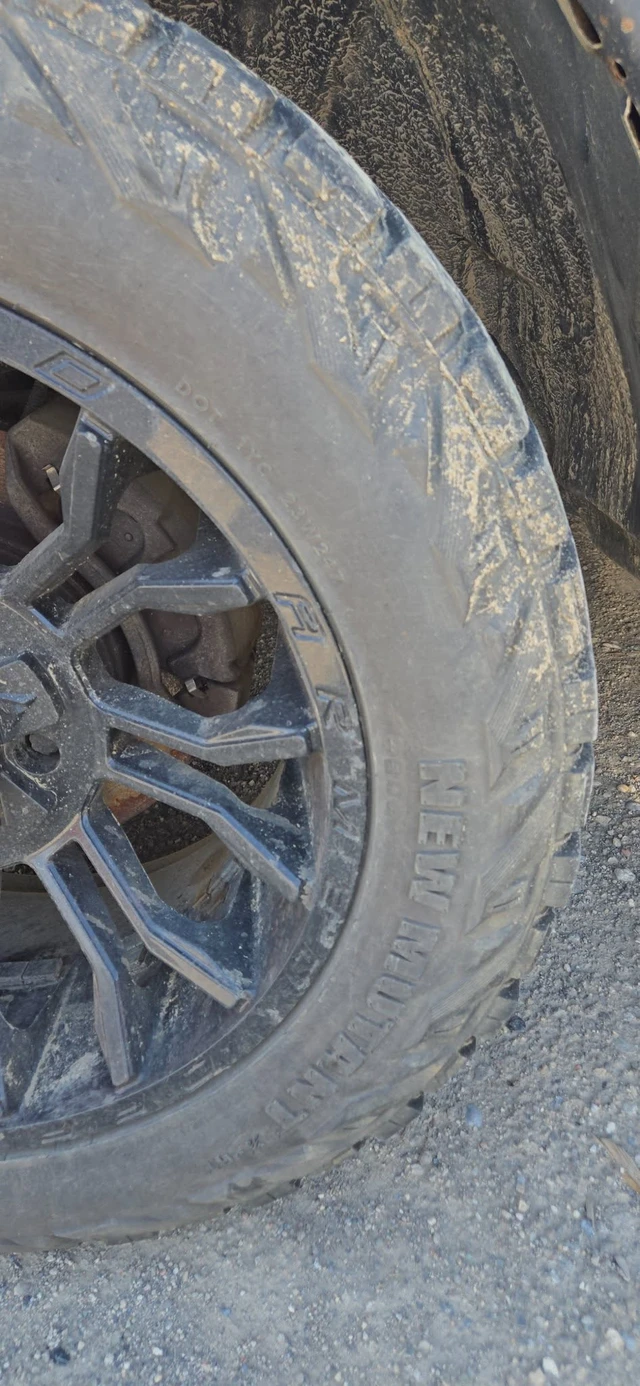 Pneumatiky — Dodge, dovoz Kanada — foto 4 z 5