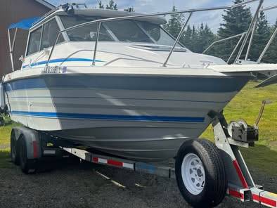 Bayliner, dovoz USA — foto 1