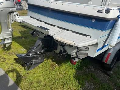 Bayliner, dovoz USA — foto 5 z 8
