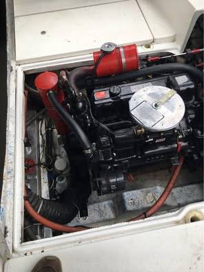 Bayliner, dovoz USA — foto 6 z 8