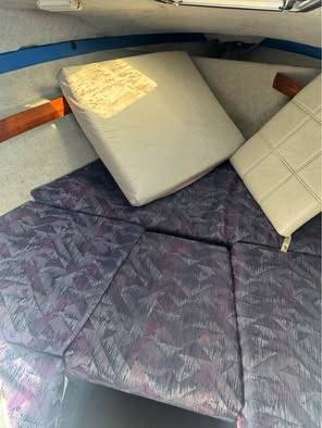Bayliner, dovoz USA — foto 7 z 8