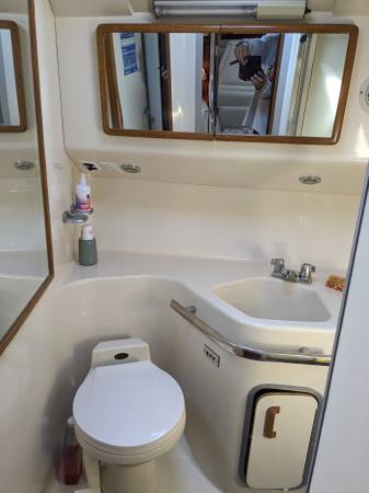 Sea Ray, dovoz USA — foto 6 z 12