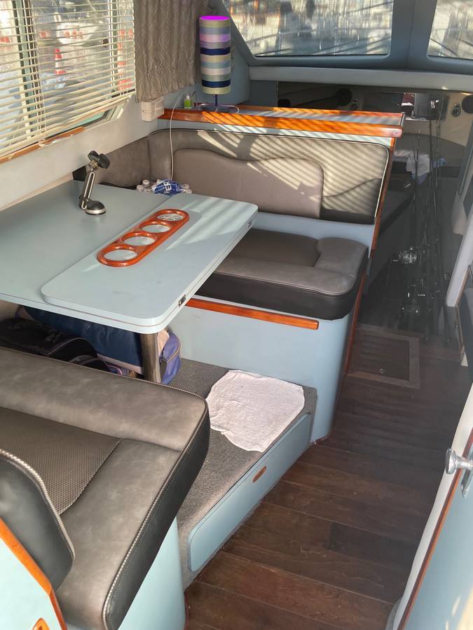 Sea Ray, dovoz USA — foto 10 z 12