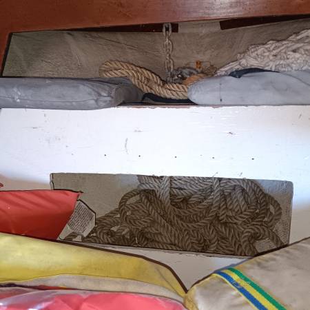 Sea Ray, dovoz USA — foto 2 z 12