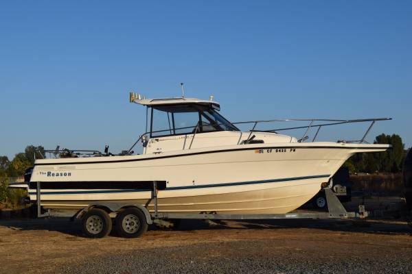 Bayliner, dovoz USA — foto 1