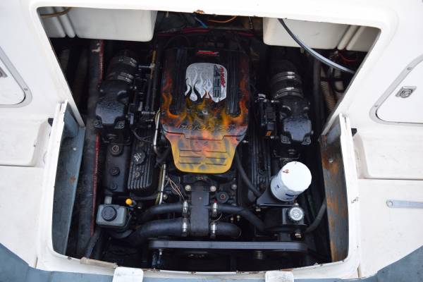Bayliner, dovoz USA — foto 10 z 12