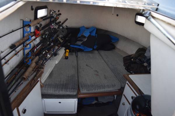 Bayliner, dovoz USA — foto 11 z 12
