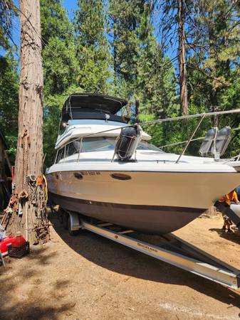 Bayliner, dovoz USA — foto 1