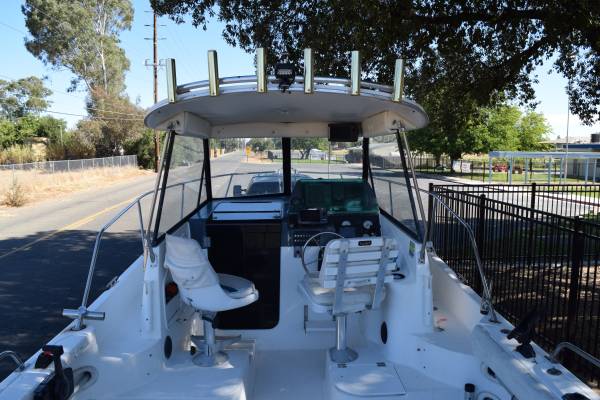 Bayliner, dovoz USA — foto 10 z 12