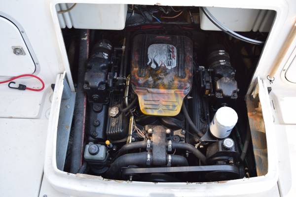 Bayliner, dovoz USA — foto 11 z 12