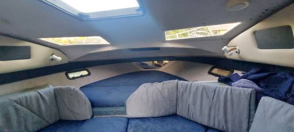 Bayliner, dovoz USA — foto 5 z 12